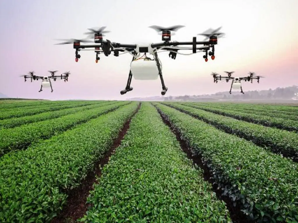 A platoon of sprayer drones over a tea garden.