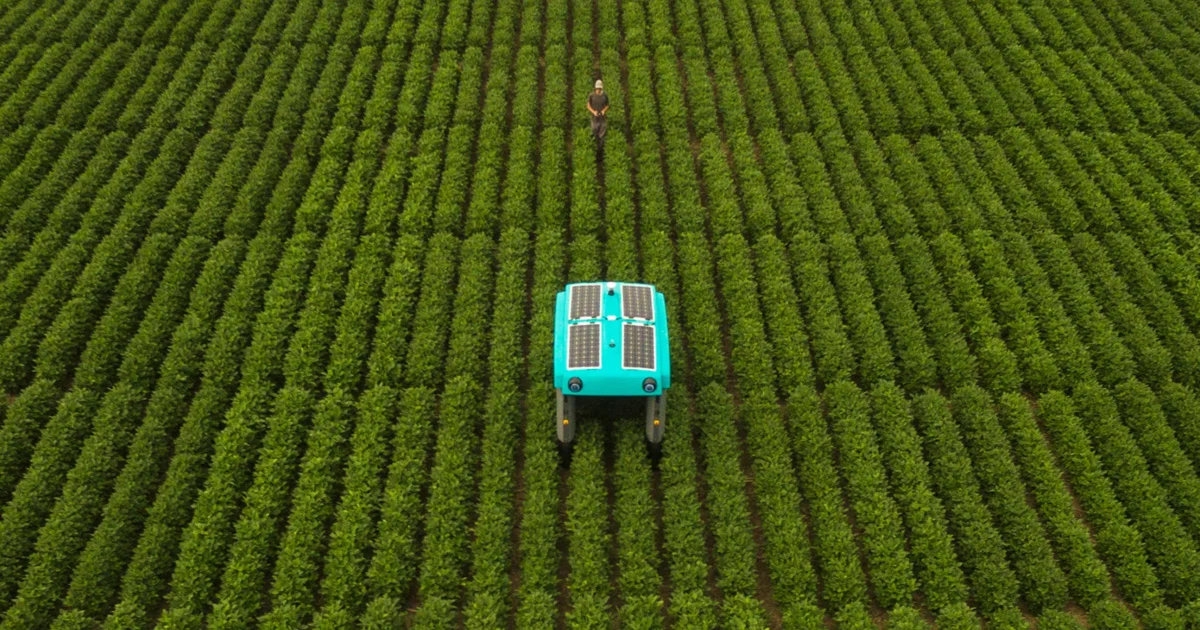 Alphabet's new Google robot in a field from above.