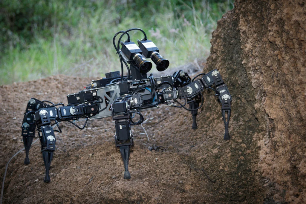 A cat-sized hexapod robot examining soil