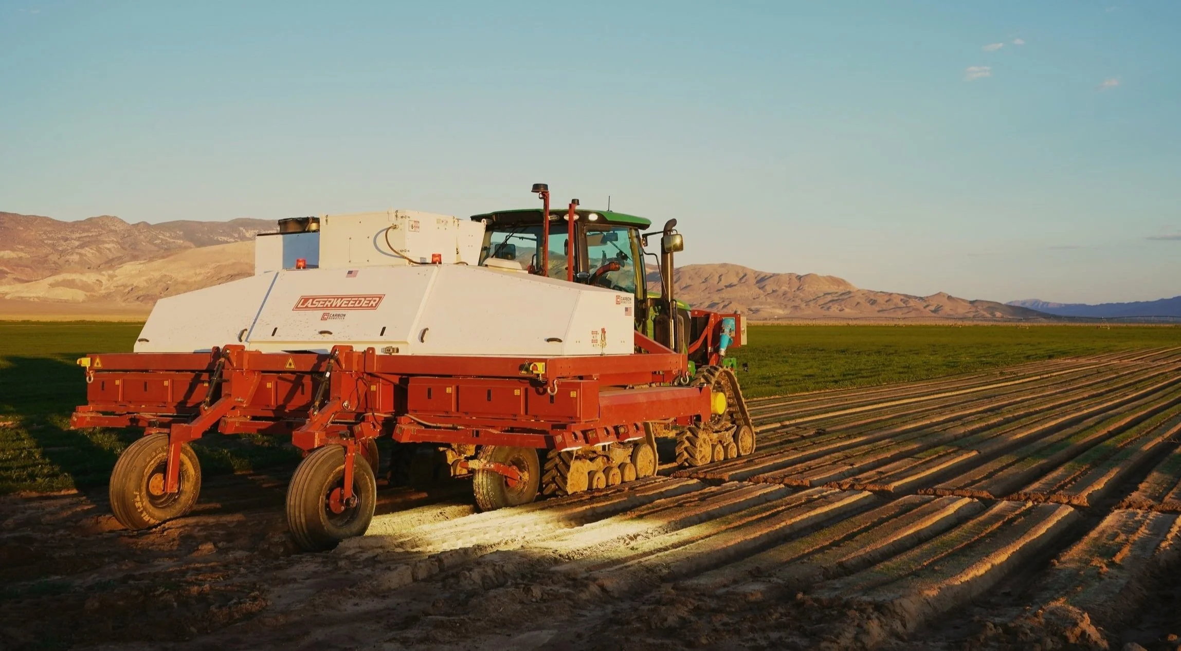 A laser weeder in Californian lettuce field killing weeds and leaving crop seedlings.