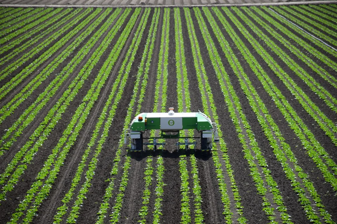 An ultralight mini-robot not causing soil compaction in a green vegetable field.