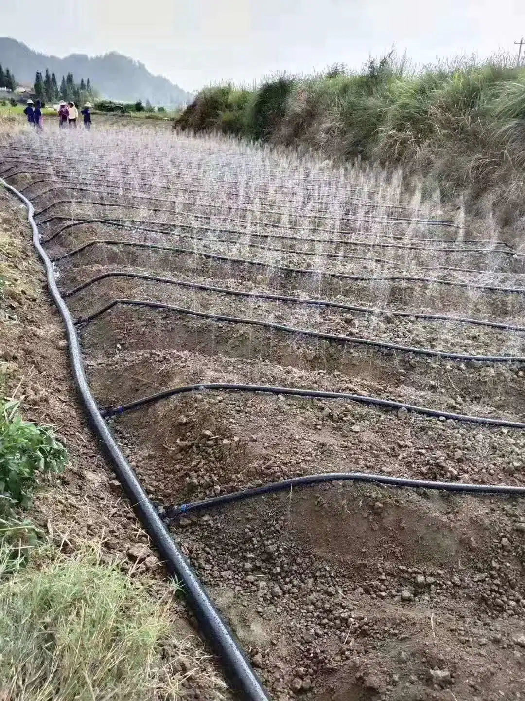 Computer-controlled nozzles spraying water only where it's needed.