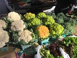 Different varieties of cauliflower being grown together.